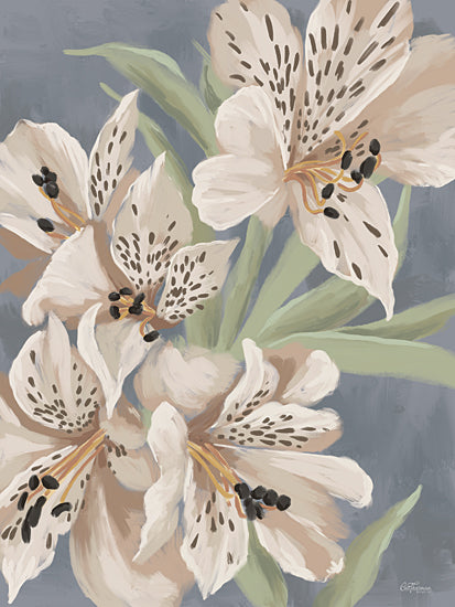 Cat Thurman Designs CTD152 - CTD152 - Market Flowers - 12x16 Flowers, Pink Flowers, Market Flowers, Dark Background from Penny Lane