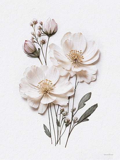 lettered & lined LET1197 - LET1197 - Pressed Flowers IV - 12x16 pressed flower artwork, botanical white blooms, light pink buds, green leaves, romantic floral arrangement, natural art print, simple elegance from Penny Lane