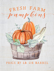 LUX865 - Fresh Farm Pumpkins - 12x16