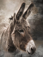 RLV807 - All Ears - 12x16