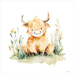 SA228 - Little Highland - 12x12