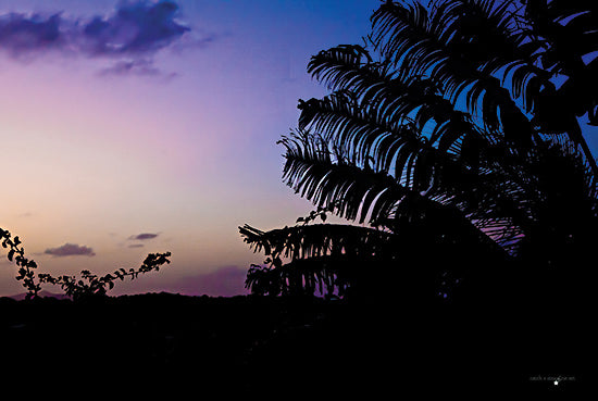 Catch A Star Fine Art STAR151 - STAR151 - Purple Sunset - 18x12 sunset silhouette, palm tree, tropical dusk, peaceful sky, gradient colors, evening horizon, calming nature, twilight from Penny Lane