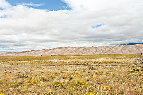 Catch A Star Fine Art STAR190 - STAR190 - Far Away Dunes - 18x12 wide field with dune background, arid grasses and shrubs, expansive open sky, high desert plateau, natural light from Penny Lane