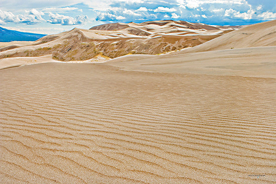 Catch A Star Fine Art STAR193 - STAR193 - Weathered Dunes III - 18x12 wide field, arid brush, layered sand dune skyline, hazy afternoon light, earthy tones, expansive space from Penny Lane