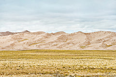 STAR195 - Dunes in the Distance II - 18x12