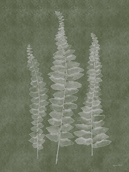 Annie LaPoint ALP2462 - ALP2462 - Woodland Ferns I - 12x16 Botanical, Ferns, Woodland Ferns, Greenery, Watercolor from Penny Lane