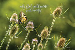 BOY733 - Such Beauty - 18x12