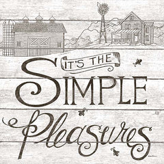 DS1564 - It's the Simple Pleasures