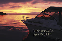 LD1045 - After the Storm - 12x18