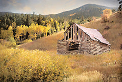 LD2046 - Rocky Mountain Cabin - 18x12