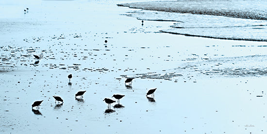 Lori Deiter LD3183 - LD3183 - Blue Sandpipers - 18x9 Coastal, Birds, Sandpipers, Photography, Ocean, Landscape from Penny Lane
