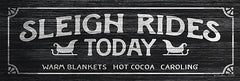 SB516 - Sleigh Rides Today - 24x8