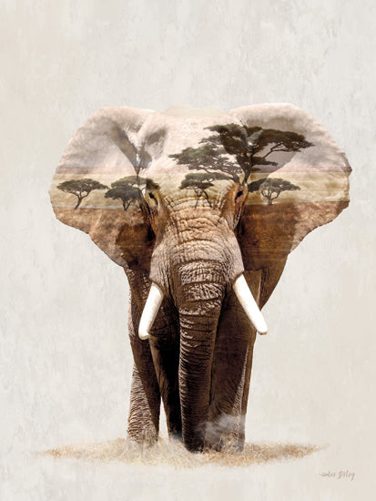 Amber Sterling AS182 - AS182 - Landscape Elephant Fusion - 12x16 Photography, Elephant, Landscape, Fusion, Double Exposure from Penny Lane