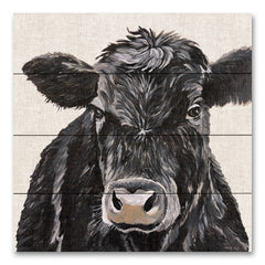 CIN4068 - Angus Cow I - 12x12