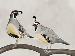 CTD154 - Quail Pair - 16x12