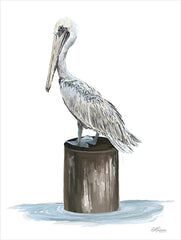 CTD183 - Pelican Side Eye - 12x16