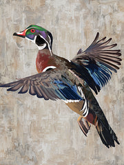 CTD265 - Wood Duck - 12x16