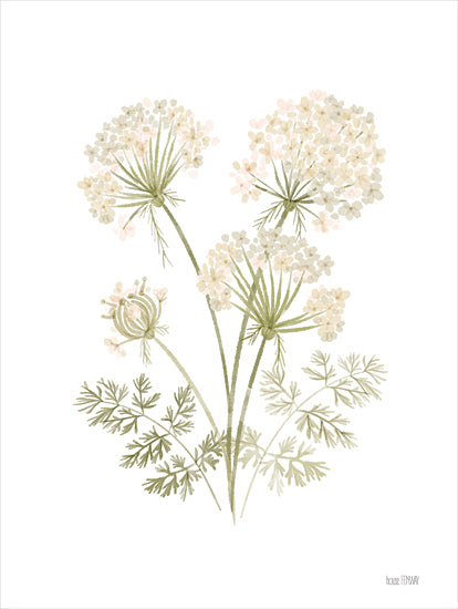 House Fenway FEN1034 - FEN1034 - Anne's Lace I - 12x16 Flowers, Queen Anne's Lace, Weed, Stems, Leaves, Neutral Palette from Penny Lane