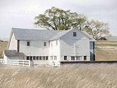 LD3146LIC - White Summer Barn - 0