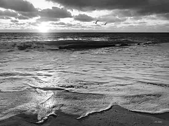 Lori Deiter LD3281 - LD3281 - Seafoam Sand - 16x12 Photography, Coastal, Ocean, Waves, Beach, Sand, Landscape, Black & White, Birds, Sun from Penny Lane