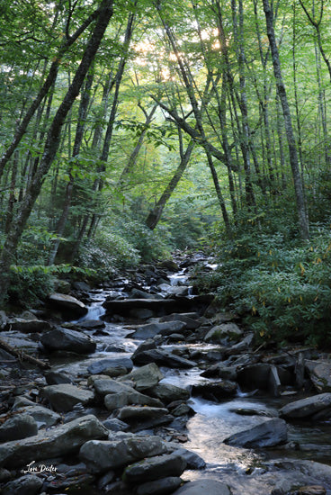 Lori Deiter LD3477 - LD3477 - Alum Cave Trail   - 12x18 Photography, Landscape, River, Little Pigeon River, Pigeon Forge, Tennessee, Rocks, Trees, Alum Cave Trail from Penny Lane