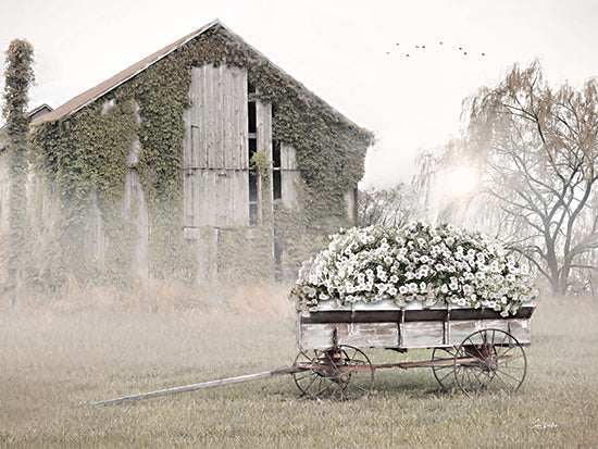 Lori Deiter LD3481 - LD3481 - Country Flower Wagon - 16x12 Photography, Farm, Barn, Moss, Wagon, Flowers, White Flowers, Flower Wagon, Haze, Fog from Penny Lane