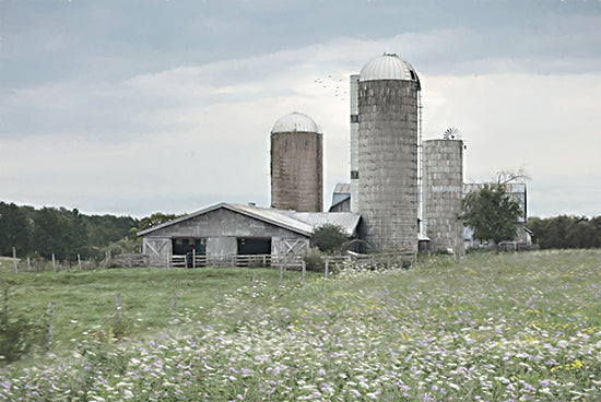 Lori Deiter LD3490 - LD3490 - Sweet Summer - 18x12 Photography, Farm, Barn, Silos, Landscape, Summer, Wildflowers from Penny Lane
