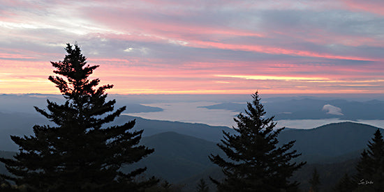 Lori Deiter LD3534 - LD3534 - Pink Sunrise - 18x9 Photography, Landscape, Trees, Hills, Sunrise, Sun, Pink Sunrise, Pine Trees from Penny Lane