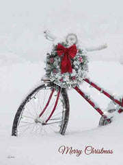 LD3560 - Merry Christmas Bicycle - 12x16