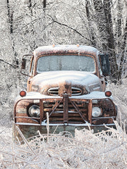 LD3579 - Icy Rustic Truck - 12x16