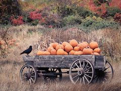 LD3714 - Pumpkin Patch Picks II - 16x12