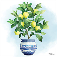 ND163 - Trellis Lemon Tree - 12x12