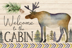 ND567 - Welcome to the Cabin - 18x12