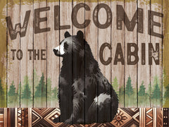 ND584 - Welcome to the Cabin - 16x12