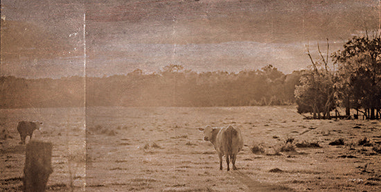 Jennifer Rigsby RIG251 - RIG251 - Good Evening - 18x9 Photography, Landscape, Cows, Field, Trees, Vintage from Penny Lane