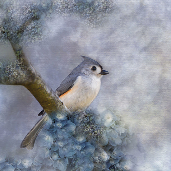 Robin-Lee Viera RLV694 - RLV694 - Tufted Titmouse I - 12x12 Photography, Bird, Tufted Titmouse, Tree Branch, Flowers, Blue Flowers from Penny Lane