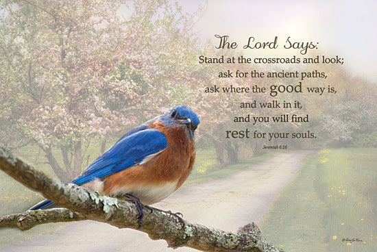 Robin-Lee Vieira RLV699 - RLV699 - The Lord Says - 18x12 Photography, Bird, Tree Branch, Religious, The Lord Says, Typography, Signs, Textual Art, Flowering Trees, Trees, Path, Wildflowers from Penny Lane