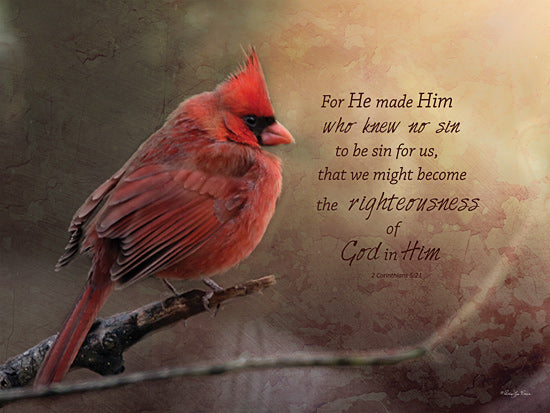 Robin-Lee Viera RLV706 - RLV706 - For He Made Him - 16x12 Photography, Religious, For He Made Him Who Knew No Sin to be Sin for Us, 2 Corinthians, Bible Verse, Typography, Signs, Textual Art, Bird, Tree Branch, Cardinal, Red Bird from Penny Lane