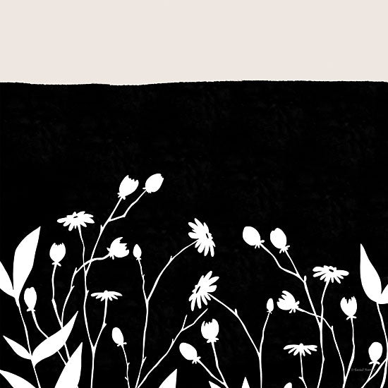 Rachel Nieman RN636 - RN636 - Mod Wildflowers 1 - 12x12 Abstract, Flowers, Wildflowers, Modern, Contemporary, Black & White  from Penny Lane