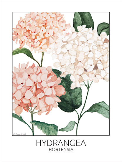 Susan Ball SB1353 - SB1353 - Hydrangea - 12x16 Flowers, Pink Flowers, Hydrangea, Hortensia, Typography, Signs, Textual Art, Greek from Penny Lane