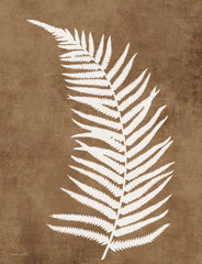 SB1425 - Sienna Fern Frond 2 - 12x16