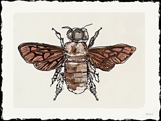 Stellar Design Studio SDS1454 - SDS1454 - Bee Sketch 1 - 16x12 Bee, Sketch, Drawing Print from Penny Lane