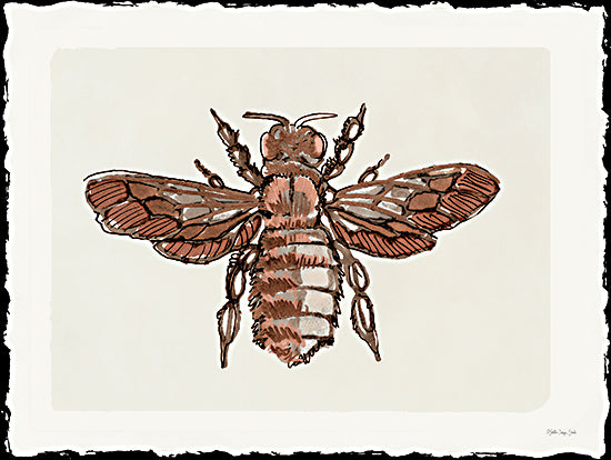 Stellar Design Studio SDS1455 - SDS1455 - Bee Sketch 2 - 16x12 Bee, Sketch, Drawing Print from Penny Lane