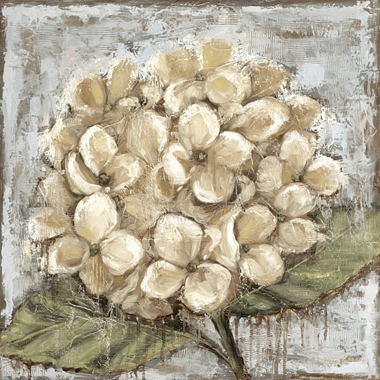 Sara G. Designs SGD208 - SGD208 - Majestic Hydrangea - 12x12 Flower, Hydrangea, White Hydrangea, Brush Strokes, Textured from Penny Lane