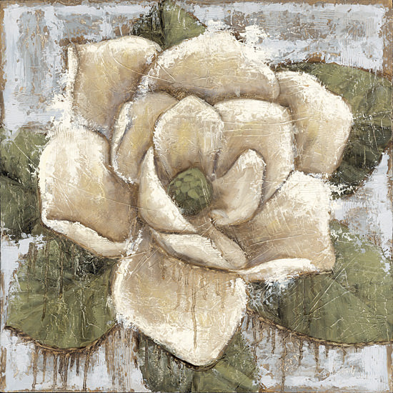 Sara G. Designs SGD209 - SGD209 - Majestic Magnolia - 12x12 Flower, Magnolia, White Magnolia, Brush Strokes, Textured from Penny Lane