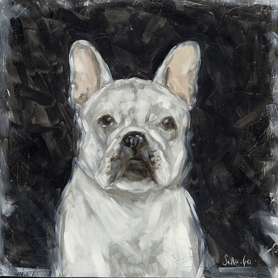 Sara G. Designs SGD243 - SGD243 - Velvet Days - 12x12 Pet, Dog, French Bulldog, White French Bulldog, Portrait, Black Background, Brushstrokes from Penny Lane