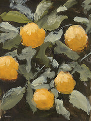 AH266 - Vintage Citrus - 12x16