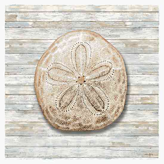 Amber Sterling AS133 - AS133 - Seashells III - 12x12 sand dollar, beach theme, sea life, coastal style, textured background, marine decor, natural beauty from Penny Lane