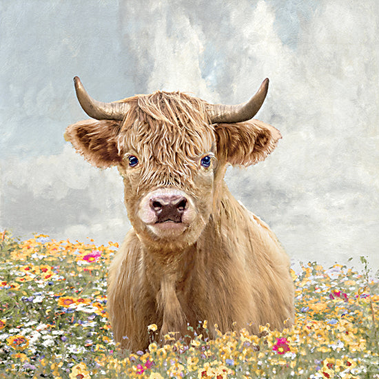 Amber Sterling AS326 - AS326 - Wildflower Highland - 12x12 highland cow portrait, wildflowers, meadow, farm animal from Penny Lane