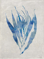 AS435 - Seaweed II - 12x16